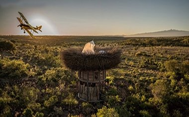 Khách sạn tổ chim giữa sa mạc Kenya