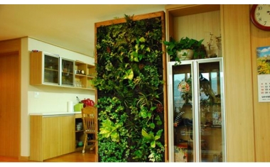 Tường xây màu xanh, xu hướng mới của cuộc sống hiện đại
